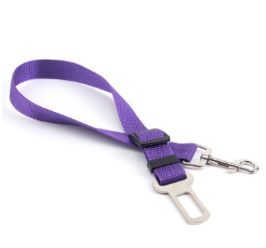 Seat Belt Dog Leash