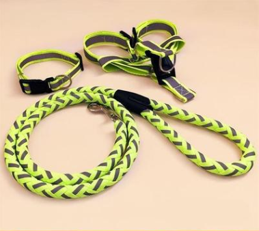 Reflective Dog Leash