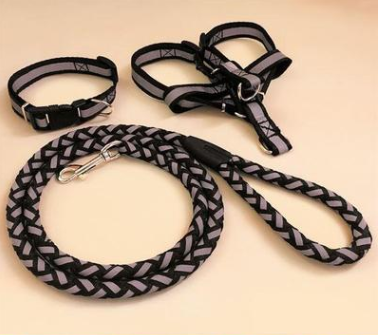 Reflective Dog Leash