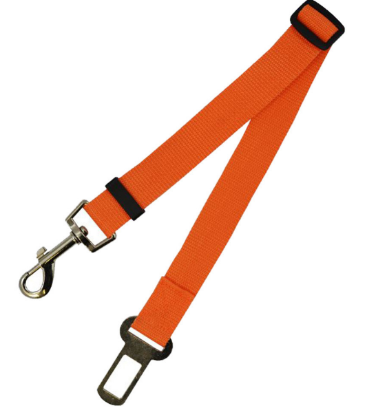 Seat Belt Dog Leash